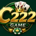C222 Game