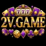 2vgame