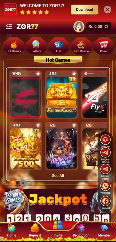 ZOR77 Game