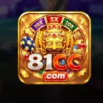 81CC Game