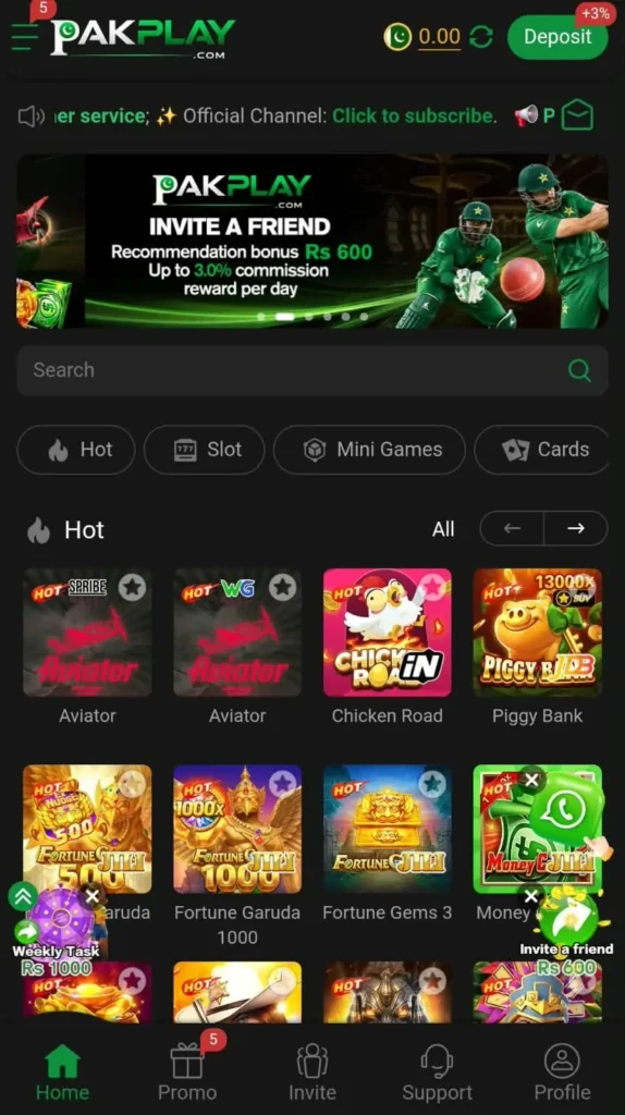 Pakplay game  interface