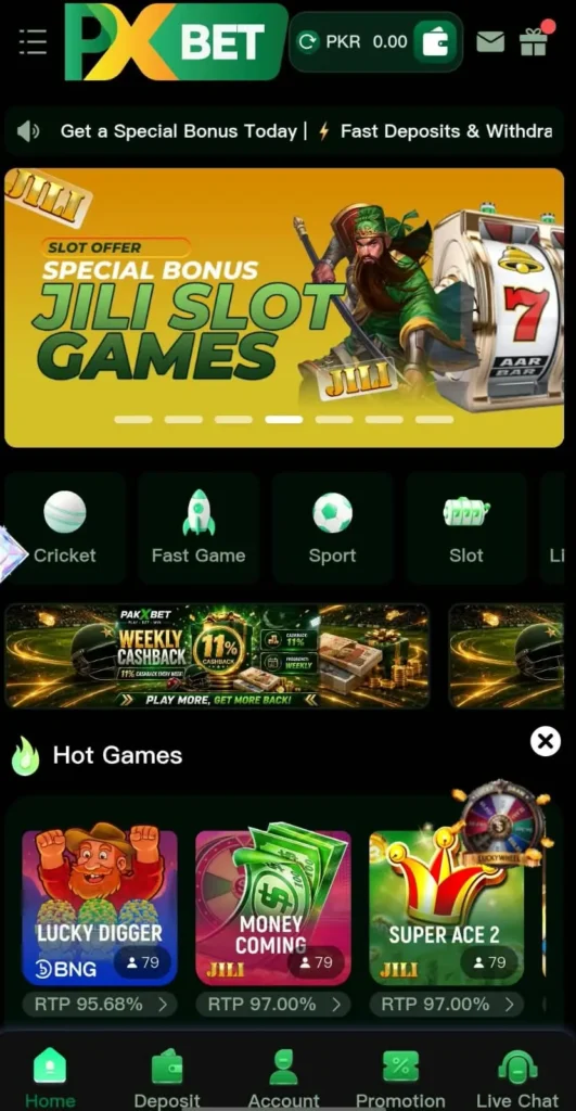 Pakxbet Game Interface
